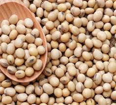 Product image - Non-GMO Soybeans. Organic pure Soya beans made from Africa's nutrient rich soil. They are a major source of protein and are used in a variety of food products, including tofu, tempeh, soy milk, and soy sauce. Soybeans are also a versatile crop that can be used to produce biodiesel, ink, and other industrial products.